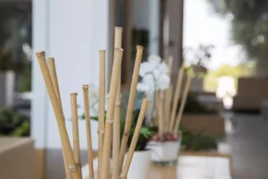 Comment éliminer le bambou : les solutions efficaces pour votre jardin